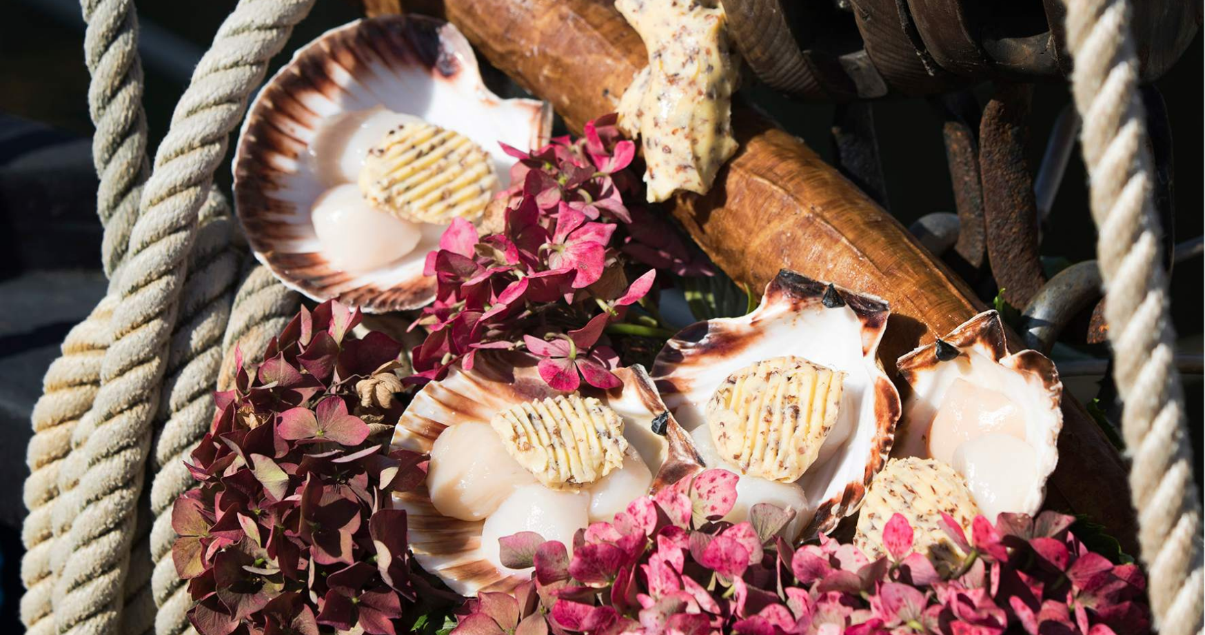 Coquilles Saint-Jacques « Breizh »
