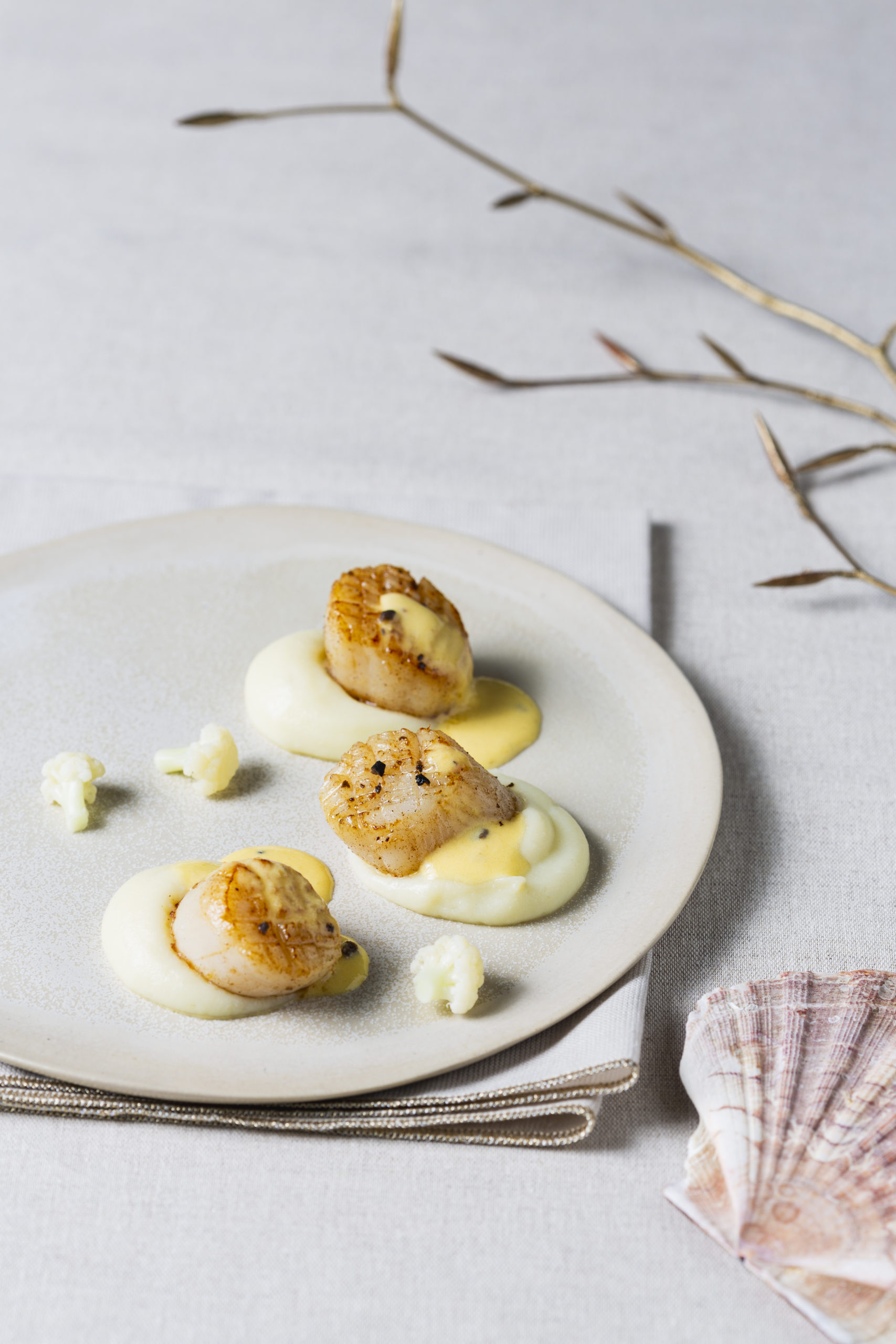 Saint-Jacques snackées et crème de barbes au Beurre Bordier à la Truffe Noire du Périgord, mousseline de chou-fleur
